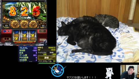 Ultima Online 日本DUEL大会１位のプロHJM36歳のゲーム配信