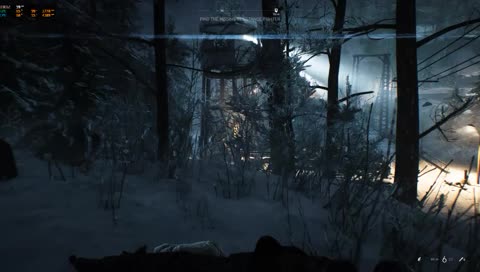 BFV