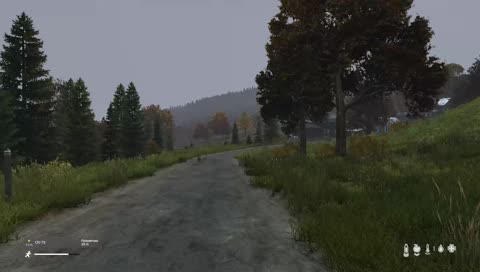 DayZ 1.0, типо релиз(нет) 