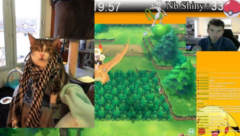 Le Bon Chasseur de Shiny [31/150]