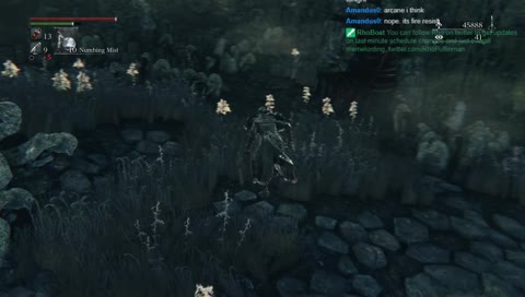 Dark Souls... basically
