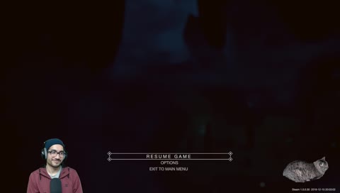 Chat lets go on an adventure! Meet my cat! // !cat // #charity