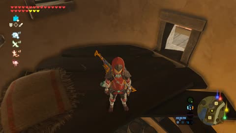 BOTW Basics