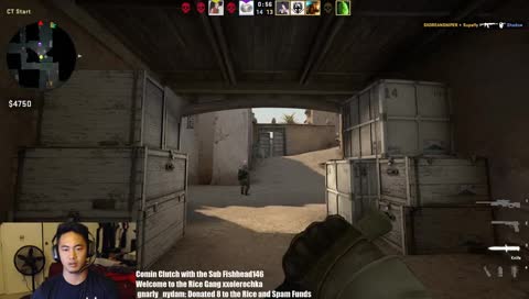 Counter STrike Streams with an Asian Dude