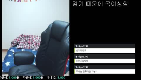 크리스마스에 부모님과 보낼 스트리머
