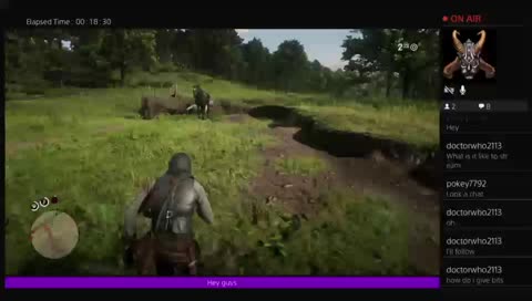 my first ever stream       rdr2