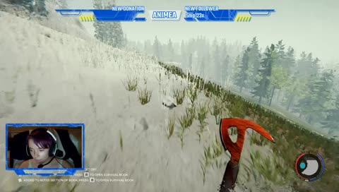 The Forest
