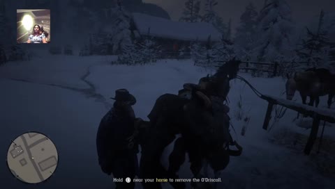 Red Dead Redemption II part 1