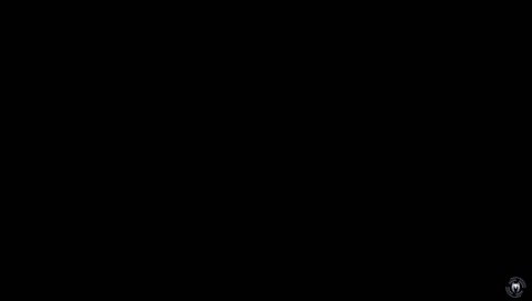 BIZAR