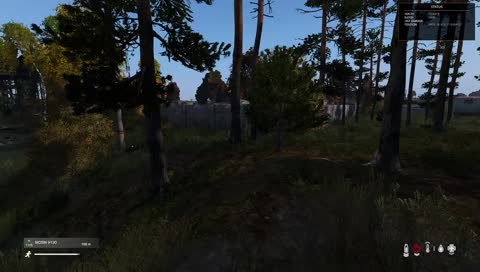 DayZ 1.0 Building a community [ENG]