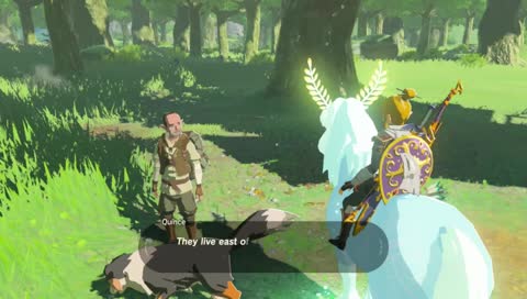 (eva plays)- zelda botw 100% - YAHA ! ᕕ( ᐛ )ᕗ (mic on )