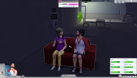 The Sims
