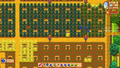 is blueberry ASMR a thing? - attempt#2 min/max 2.5mil winter1year1 - come chill and relax