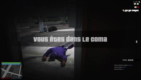 [GTALIFE] BALLAS GANG - BRAQUAGE