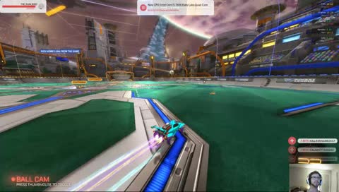 A bird absolutely destroys some RC cars