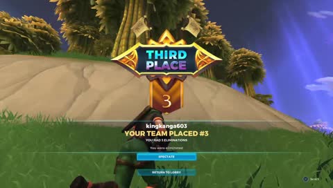 Day 5 - PS4 Realm Royale - 12 Wins Solo -