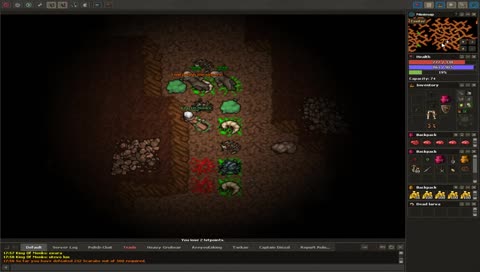 Medivia Prophecy  RPG (30 + MS )  [ PL / ENG]