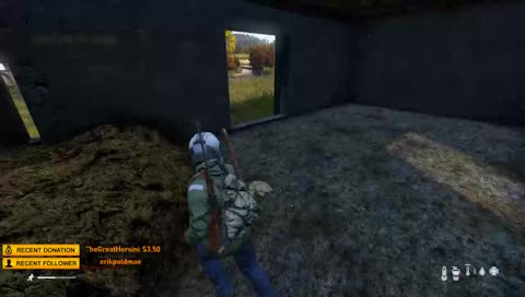 Trying to survive DAYZ 1.0