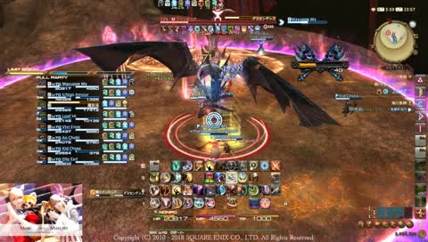 ･*絶バハムート　攻略風景🌸