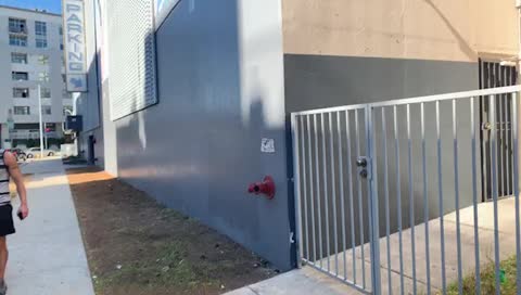 Donald Trump Star ⭐️ Vandalized Again 