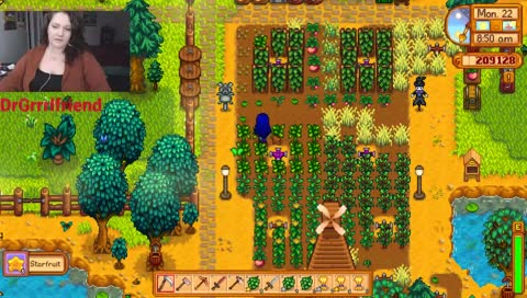 year 3. summer day 22