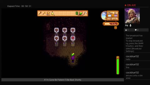 Stardew Valley Playthrough