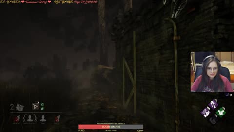 Bardzo uprzejmy kat ( ͡° ͜ʖ ͡°)