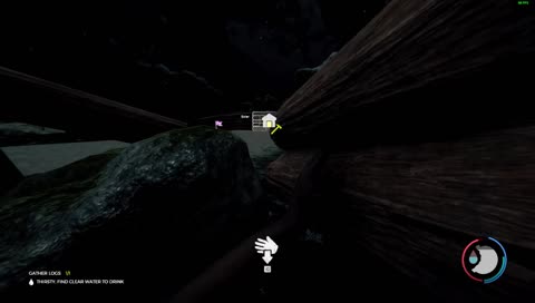 The forest speed runners