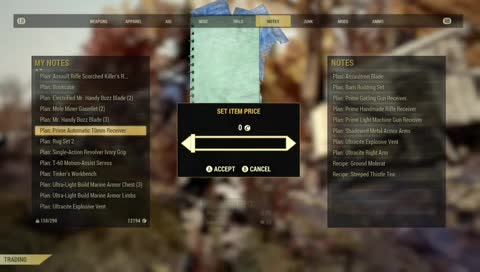 Fallout 76 helping new players squad up playing with viewers road to 300