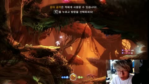 힐링 겜(?) 오 리 와 눈 먼 숲