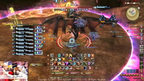 ･*絶バハムート　攻略風景🌸