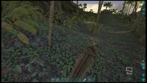 알파와 중국인한테서 쫓기는 삶