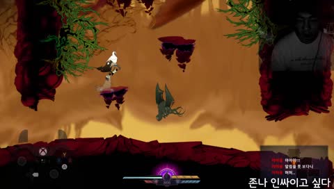 킹치만.. 방제를 이렇게 하지 않으면..