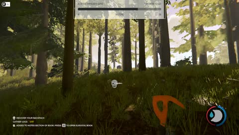 The Forest for the first time!!!