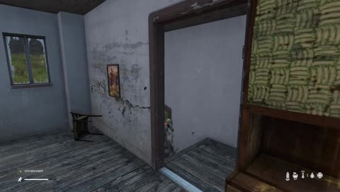 [ENG] Going back to the old dayZ