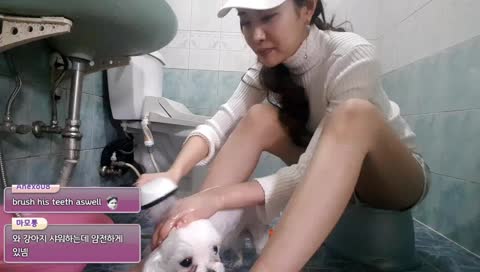 [EN/KR] 유니콘 강아지 산책하기 Dog walking with Yunicorn