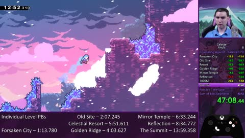 Summit Practice, Then Any% Runs