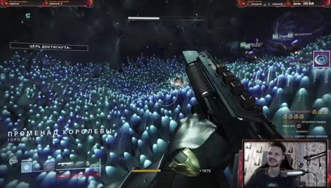 Собираем рейды ПЖ, ИП, РТ, Левик Престиж  [ULTRA 1080p60]