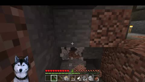 A doggo plays minecraft for the first time!