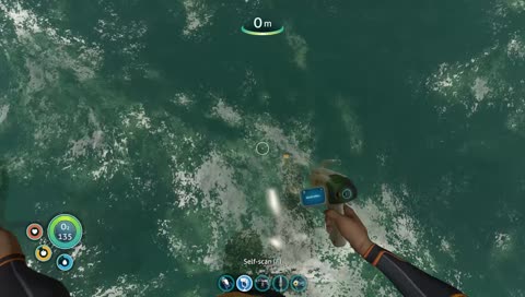 I play games, nobody watches: I'm fine with that!