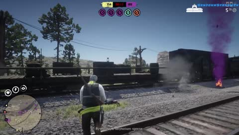 Level Up. RDR 2 Online PS4 Pro HD.