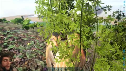 dIrEcTo  .... arknuevo server con mercado ....