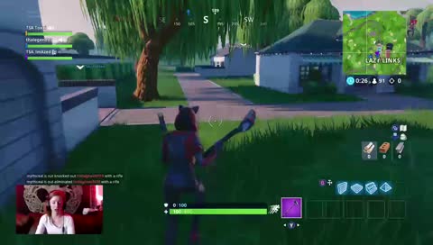 Short Facecam Fortnite Stream