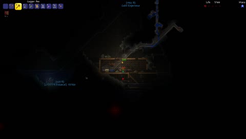 terraria playersh smh