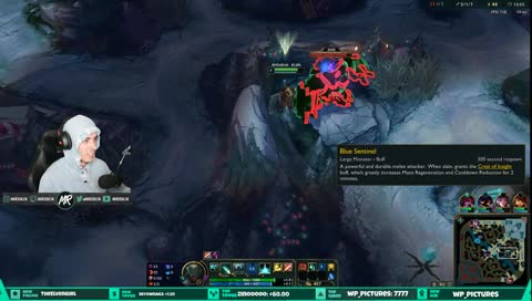 Kayn Main BTW / Road to 1000 Followers!!!