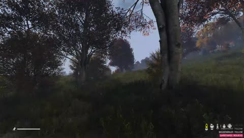 Auf Abenteuersuche ...