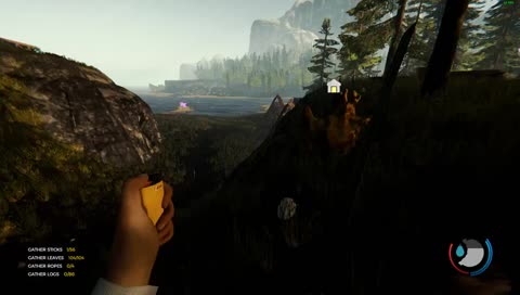 The Forest gameplay