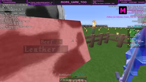 More Minecraft <3