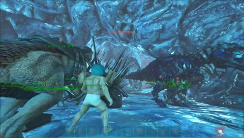 [official pvp] イカテイムとかにゅーべーすとか conquest