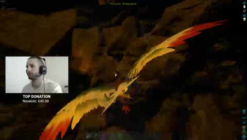  [Gitan] Jason Flèche ! Le plus beau des gitans